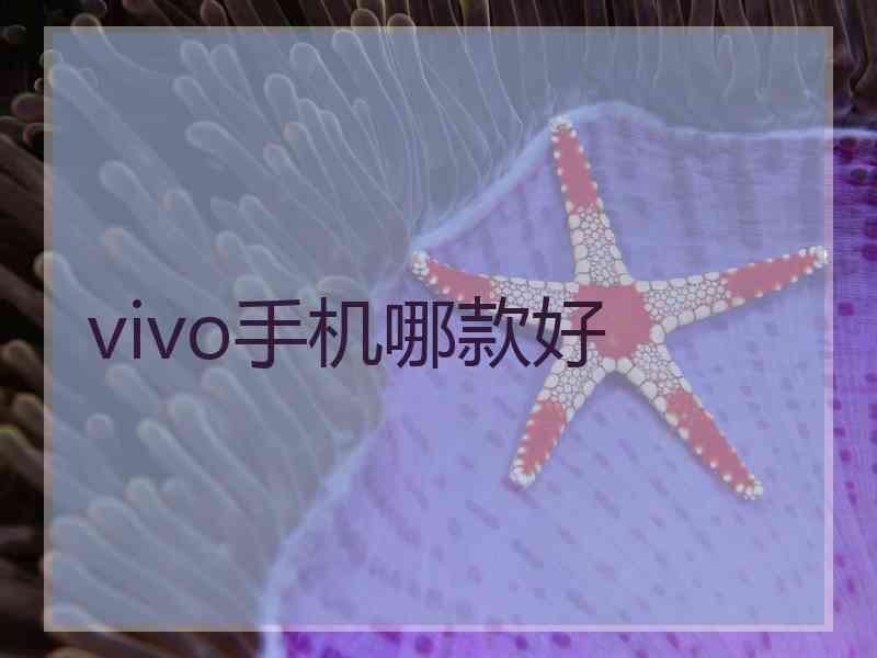 vivo手机哪款好