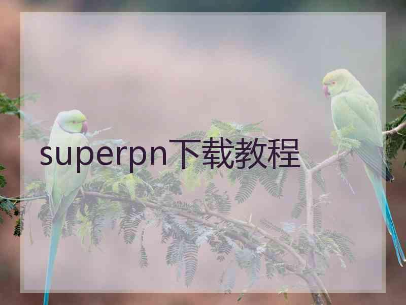 superpn下载教程