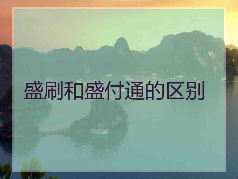 盛刷和盛付通的区别