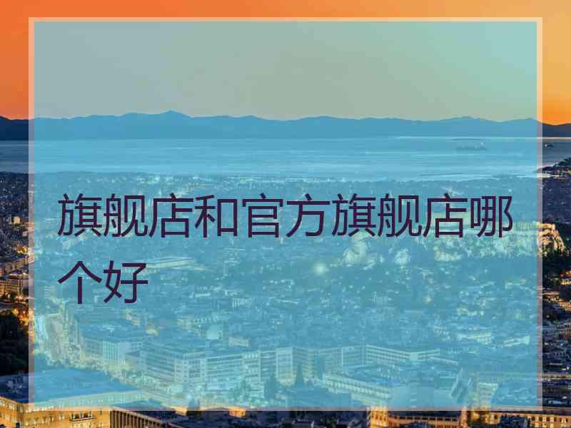 旗舰店和官方旗舰店哪个好
