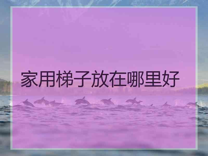 家用梯子放在哪里好