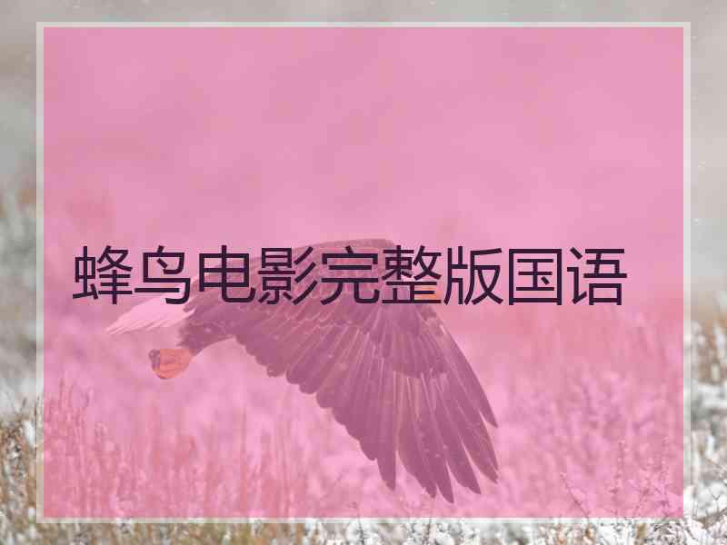 蜂鸟电影完整版国语