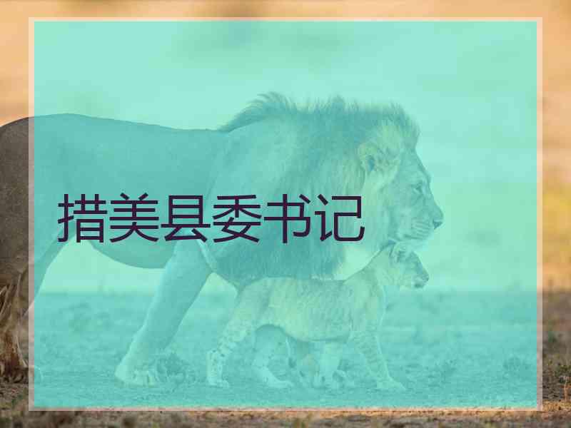 措美县委书记