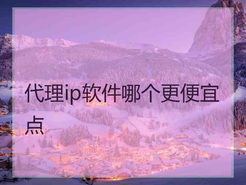 代理ip软件哪个更便宜点