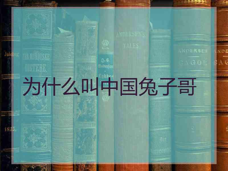 为什么叫中国兔子哥