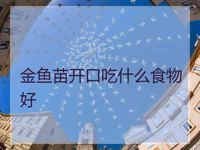 金鱼苗开口吃什么食物好