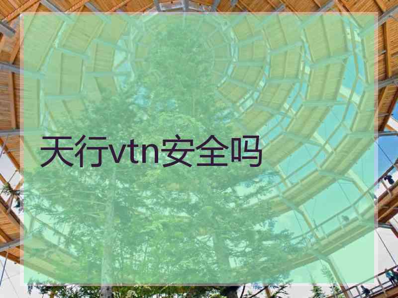 天行vtn安全吗