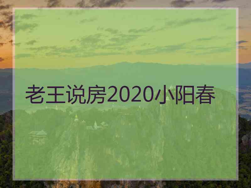 老王说房2020小阳春