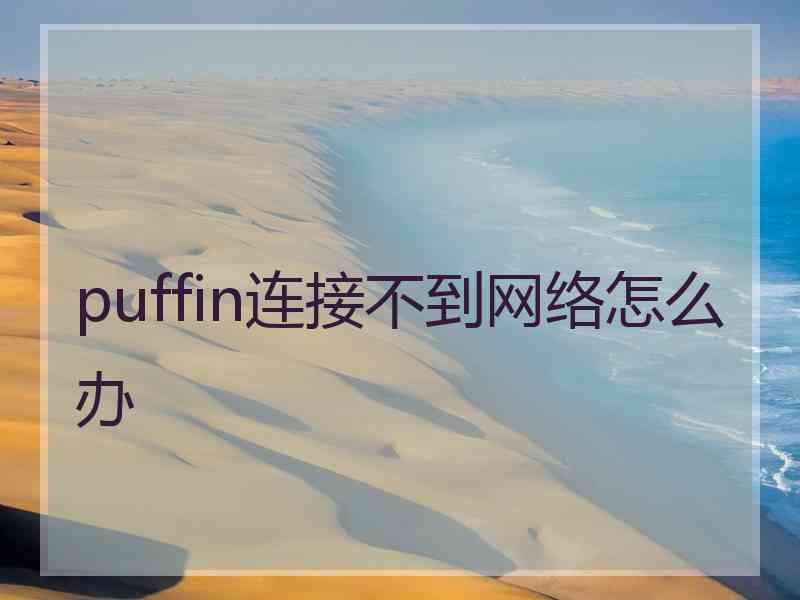 puffin连接不到网络怎么办