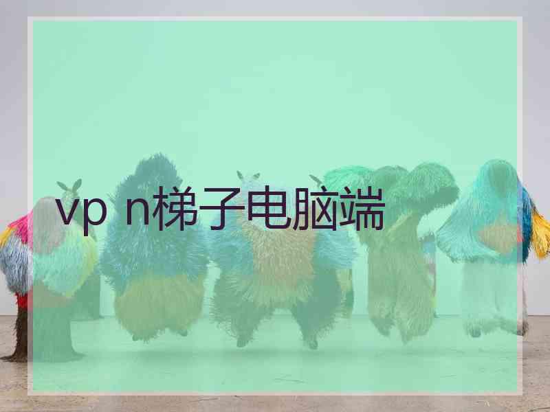 vp n梯子电脑端
