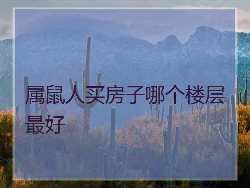 属鼠人买房子哪个楼层最好