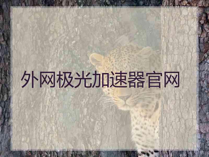 外网极光加速器官网