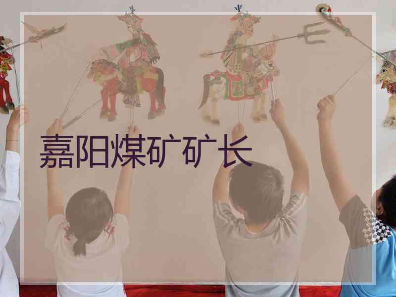 嘉阳煤矿矿长