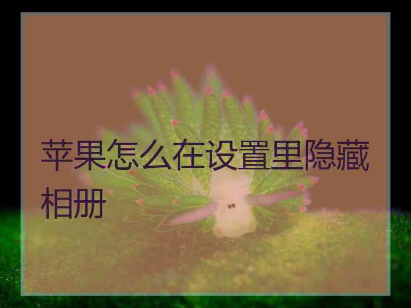 苹果怎么在设置里隐藏相册
