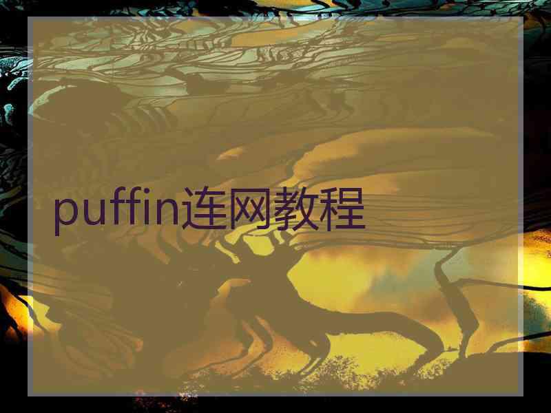 puffin连网教程