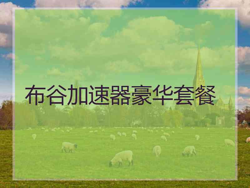 布谷加速器豪华套餐