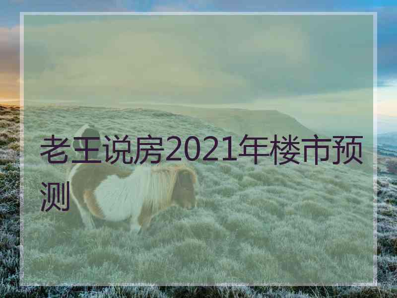 老王说房2021年楼市预测