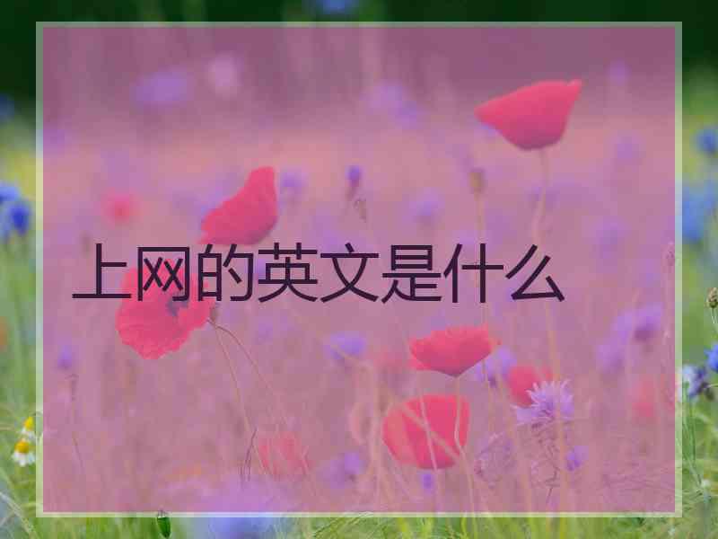 上网的英文是什么