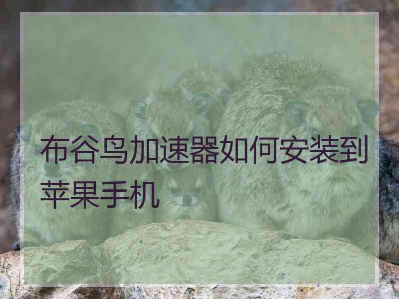 布谷鸟加速器如何安装到苹果手机