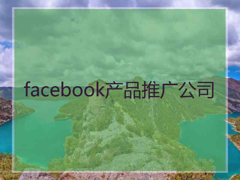 facebook产品推广公司