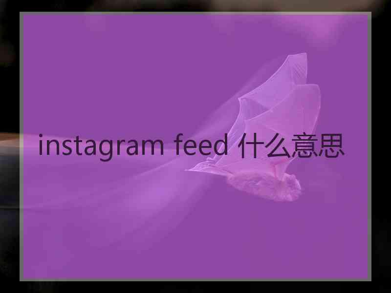 instagram feed 什么意思