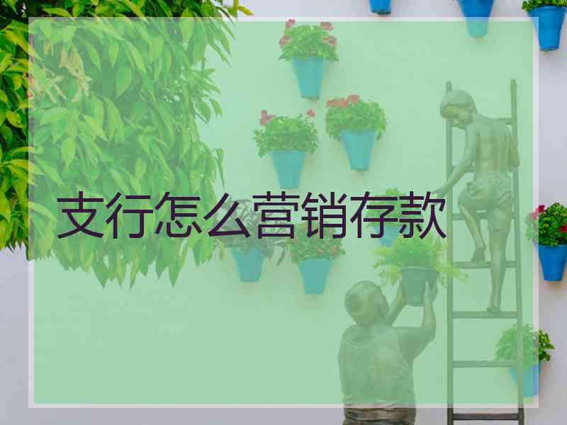 支行怎么营销存款