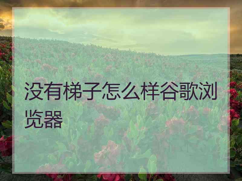没有梯子怎么样谷歌浏览器