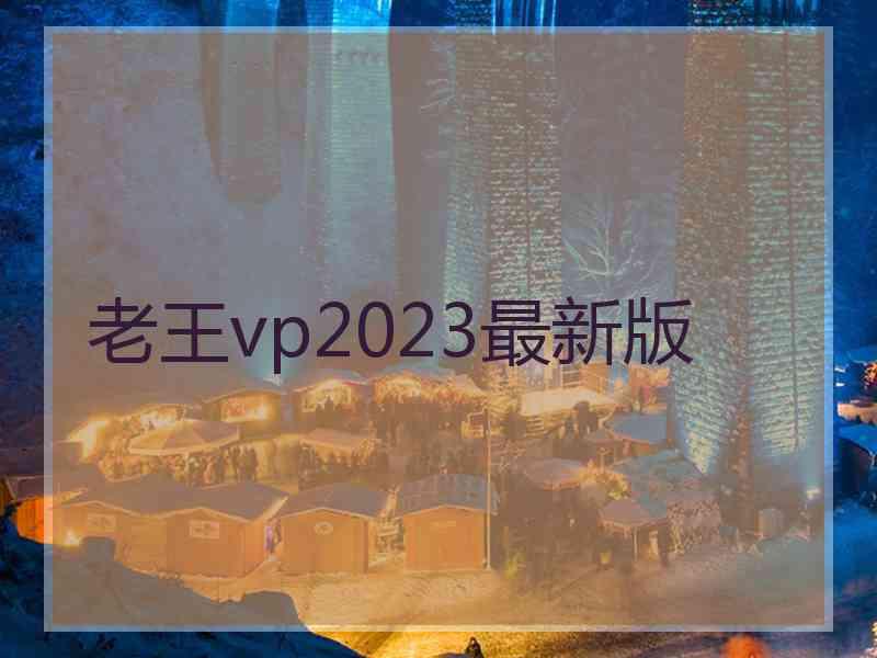 老王vp2023最新版