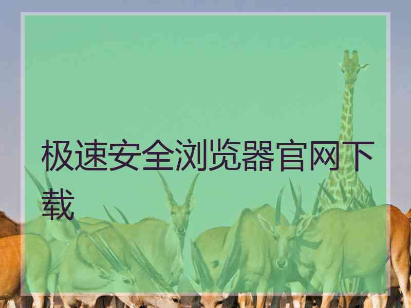 极速安全浏览器官网下载