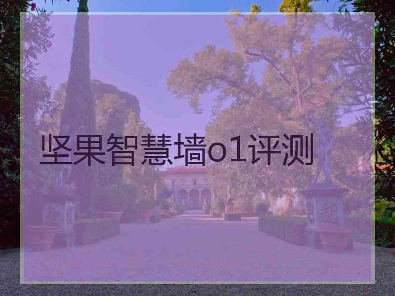 坚果智慧墙o1评测