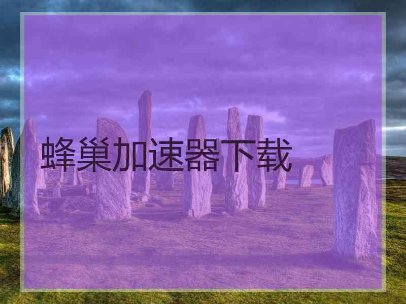 蜂巢加速器下载