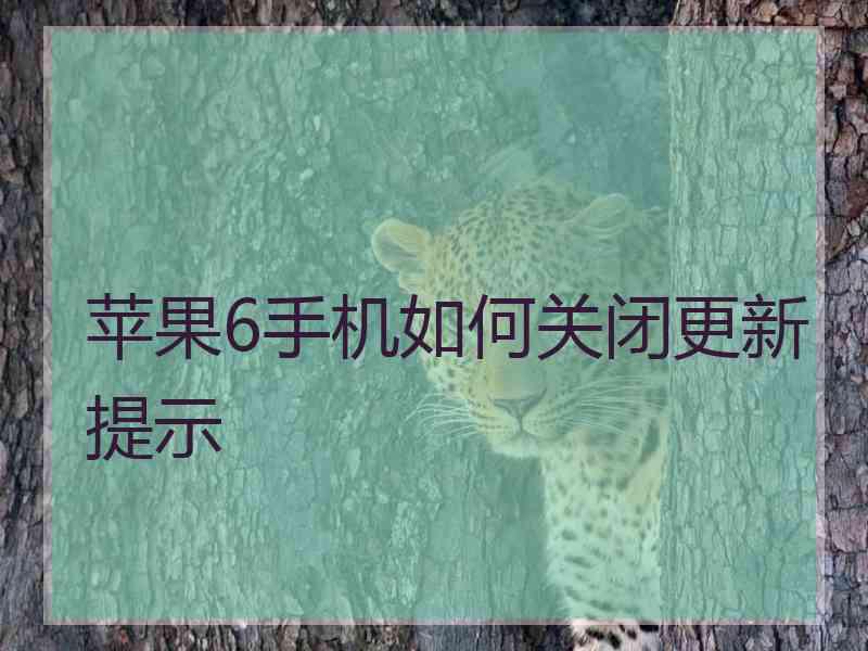 苹果6手机如何关闭更新提示