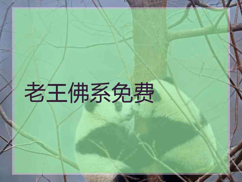 老王佛系免费