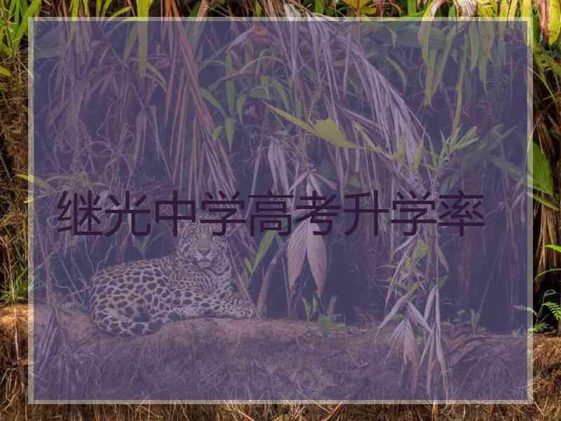 继光中学高考升学率