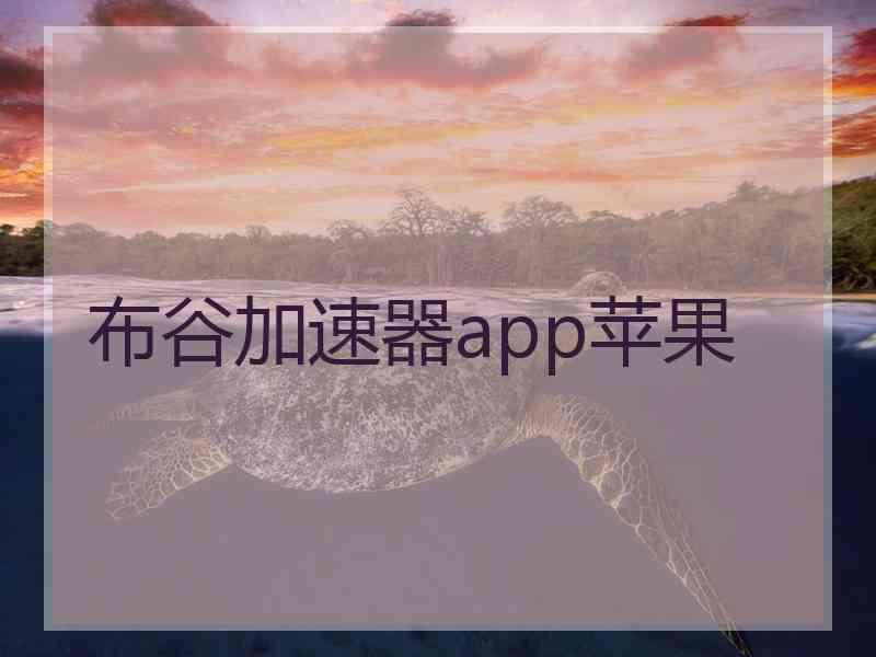 布谷加速器app苹果