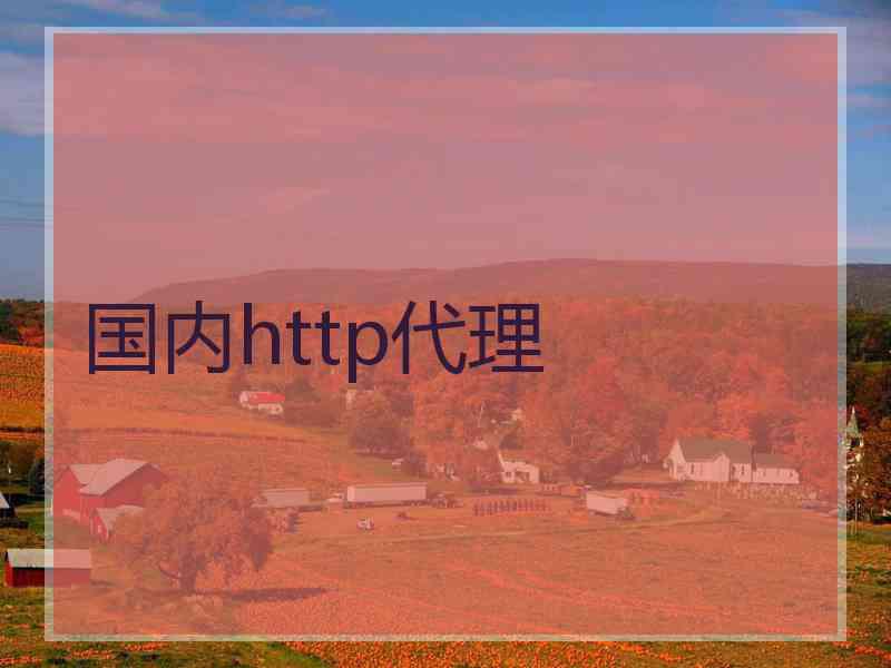 国内http代理