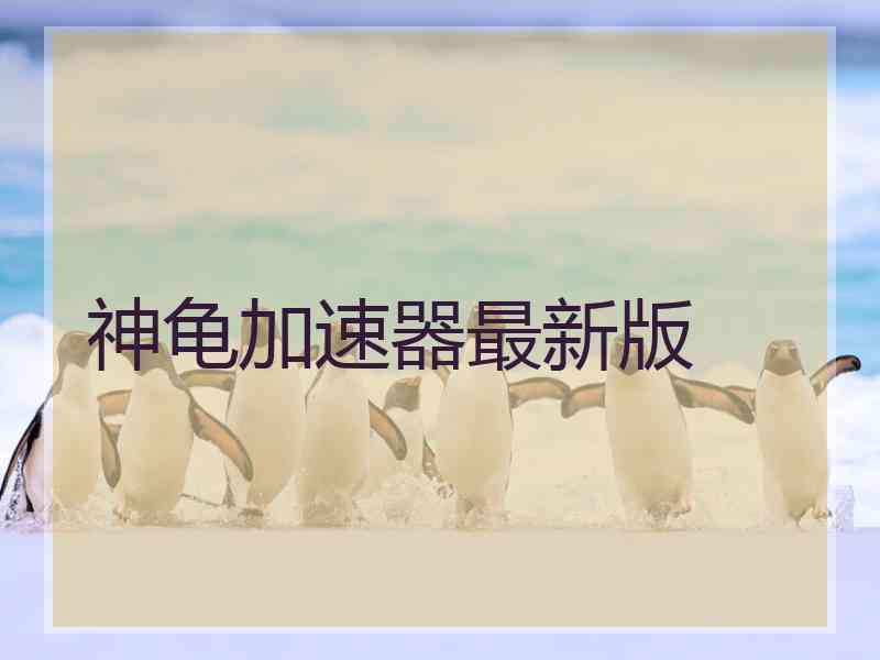 神龟加速器最新版