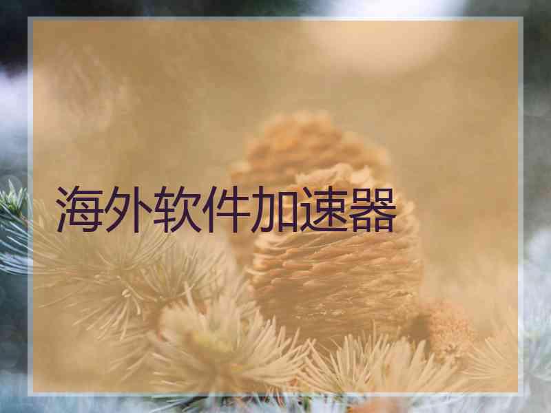 海外软件加速器