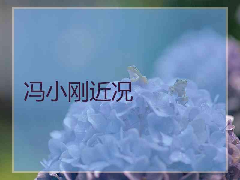 冯小刚近况