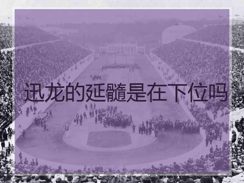 迅龙的延髓是在下位吗