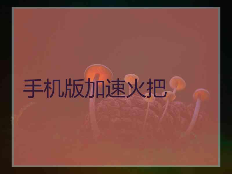 手机版加速火把