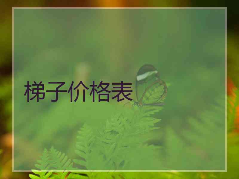 梯子价格表