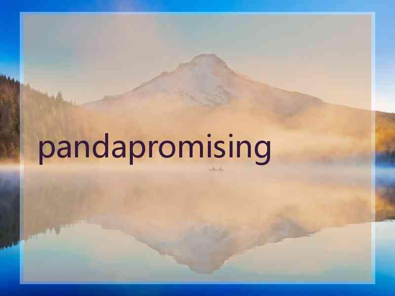 pandapromising