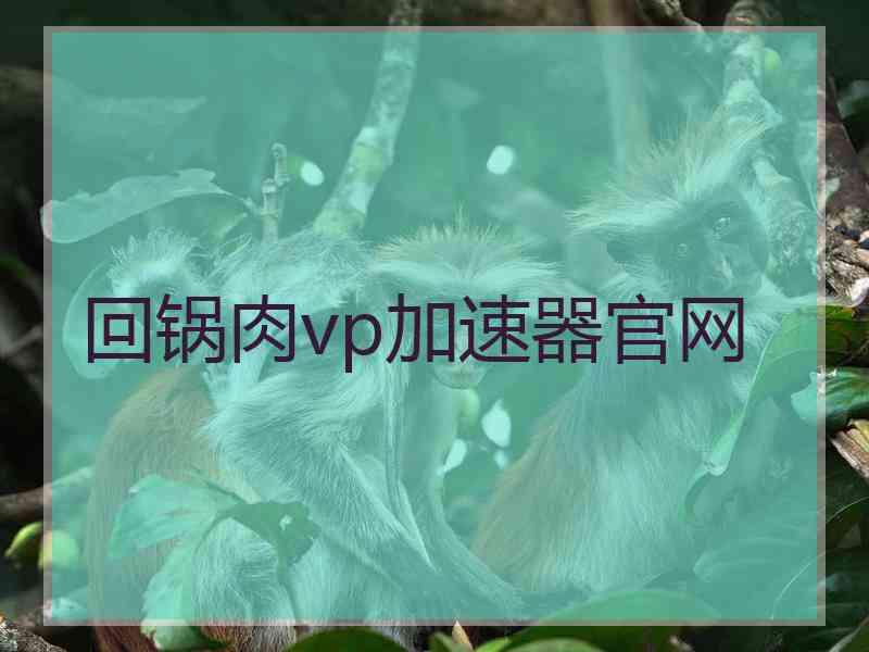 回锅肉vp加速器官网