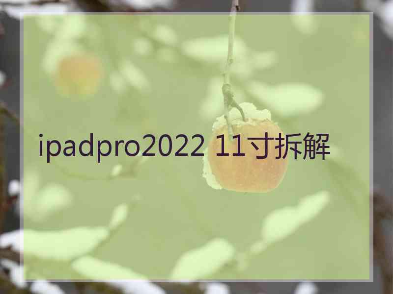 ipadpro2022 11寸拆解