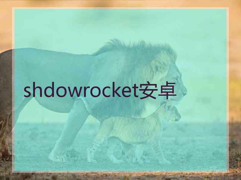 shdowrocket安卓