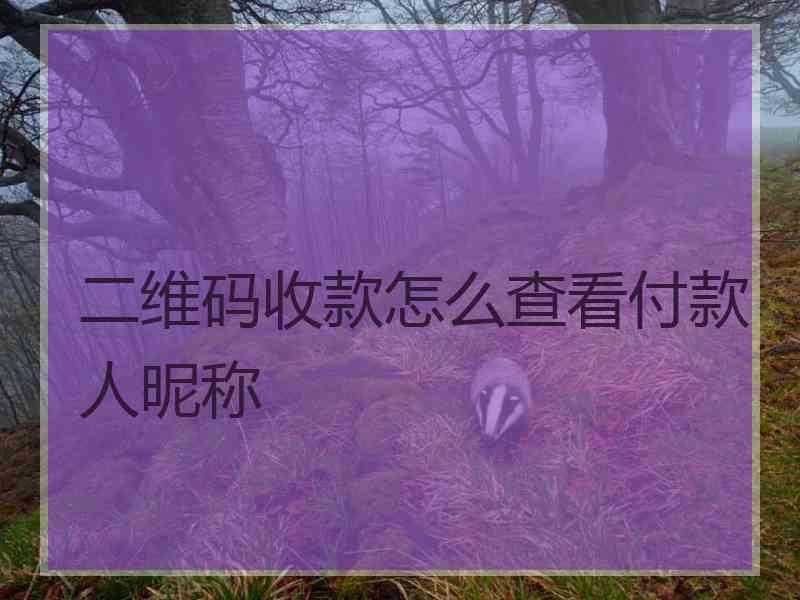 二维码收款怎么查看付款人昵称