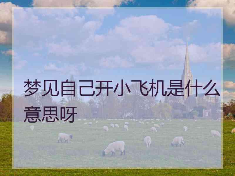 梦见自己开小飞机是什么意思呀