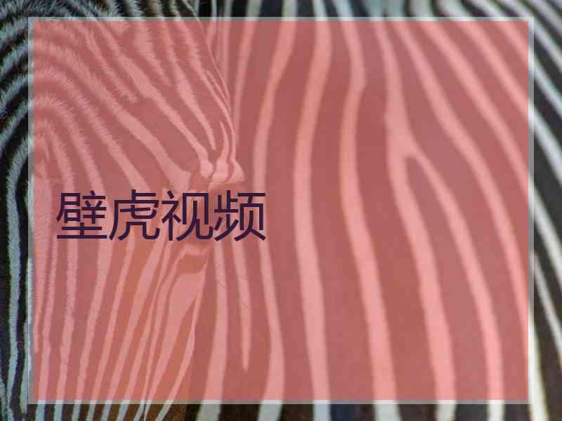 壁虎视频