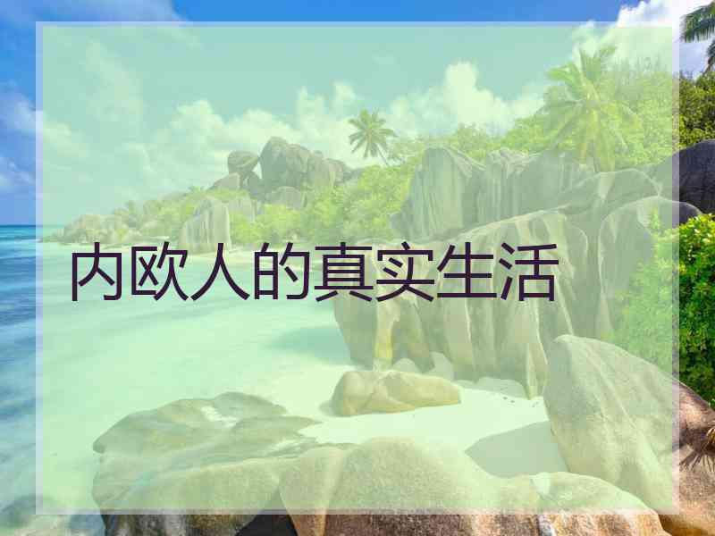 内欧人的真实生活
